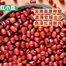 红豆新货云南农家自种粗粮红小豆子五谷杂粮红豆沙煲汤打豆浆