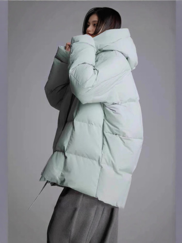 Women's Korean and Japanese Style Down Jacket, Short Version, Winter Women's High-End Feather Outerwear