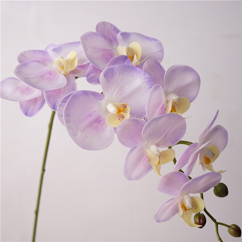 Light luxury style high-quality butterfly orchid artificial flower fake flower living room dining table entrance tabletop floral decoration bouquet