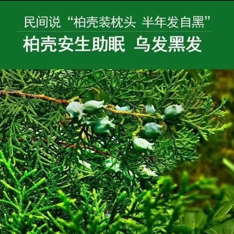 高齢者、大人、独身学生向けのヒノキ種子殻枕、取り外し可能で洗える、硬く、変形しない、良好な睡眠、調整可能 2.5kg|undefined