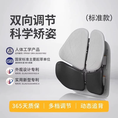 Nortech Ergonomic Lumbar Support Office Waist support - business-gray-blackbreathable-micro-pore-pu-leather-case-adjustable-up-and-down-dynamic-back-support