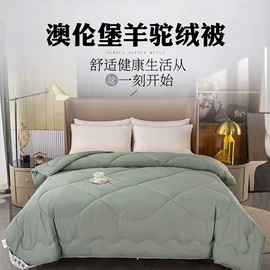 动物毛鬃;驼毛/驼绒被;纺织填充物