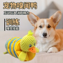 С�S��������߹���С�д���Ȯ߅��ҒʳӖ����ɫ�i����������l