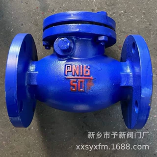 厂家定制重体短体旋启止回阀DN50-150 法兰连接H44T-PN16圆形旋启