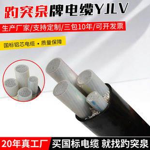 �S�ҹ���10KV15KV35KV��|���z3*70/95/120�XоYJLV22������|