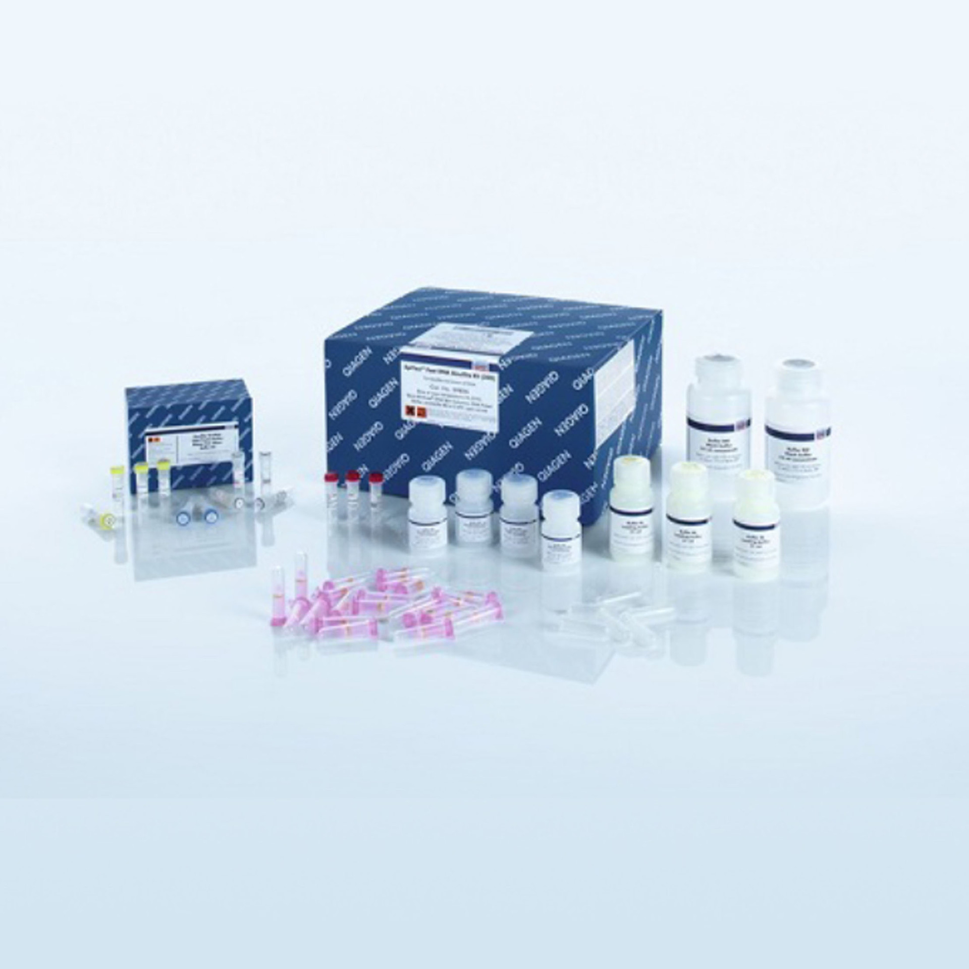 Qiagen 59824 快速亚硫酸氢盐转化试剂盒，50T