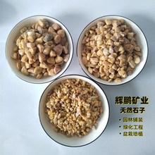 胶粘石透水地坪用水洗石鸡血红/黄金石/黑色洗米石碎石水磨石