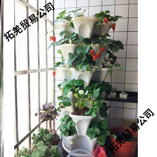 N˼̨ӷNݮG}wMϼ߲ͥ˷Nֲό