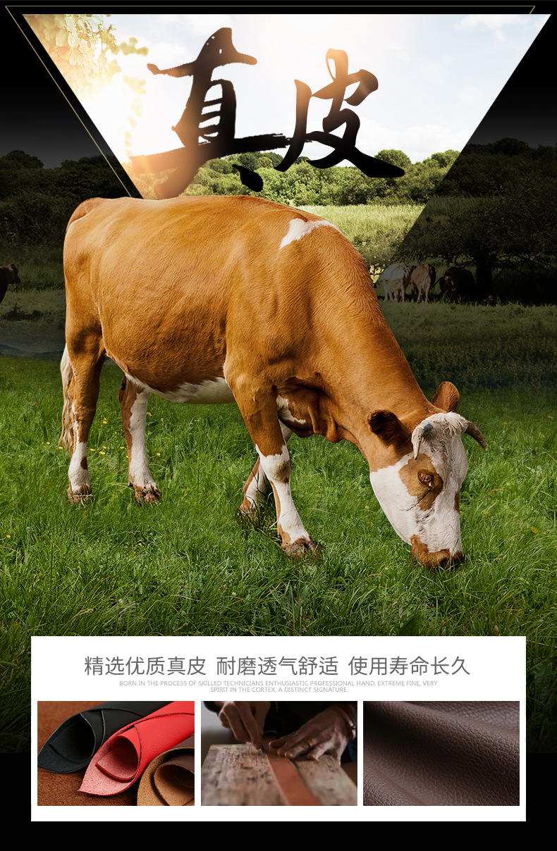 迈腾详情改_04.jpg