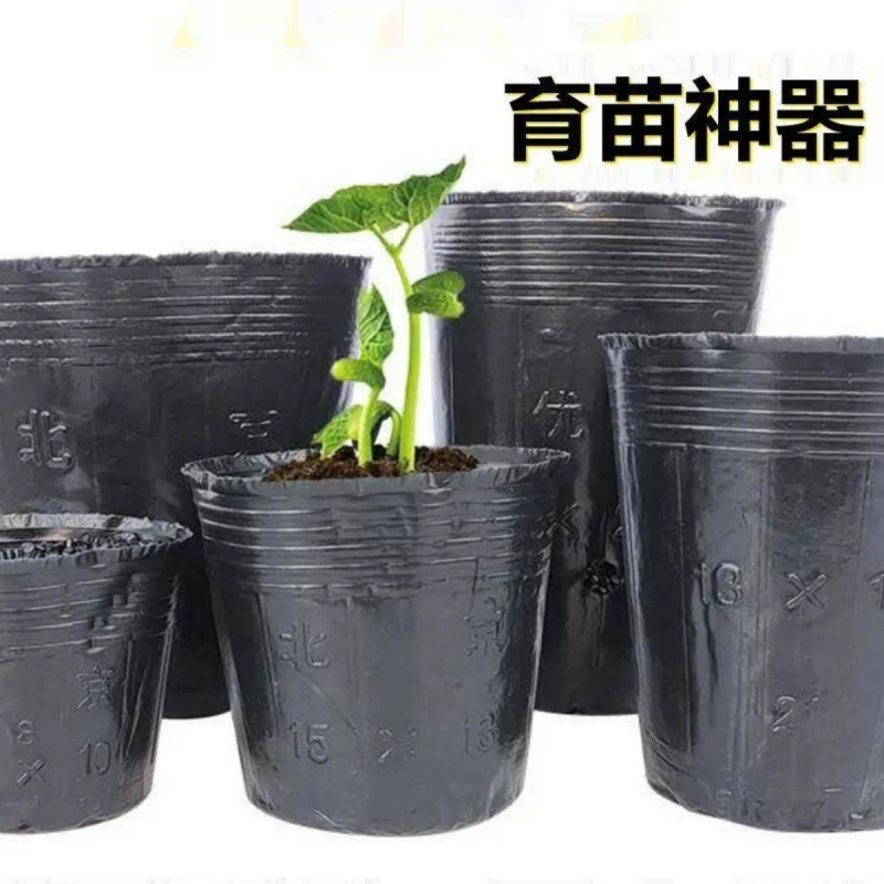 Питательная чашка для рассады Контейнер для рассады