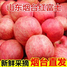 正宗烟台栖霞红富士苹果脆甜多汁新鲜苹果应季水果整箱包邮批发