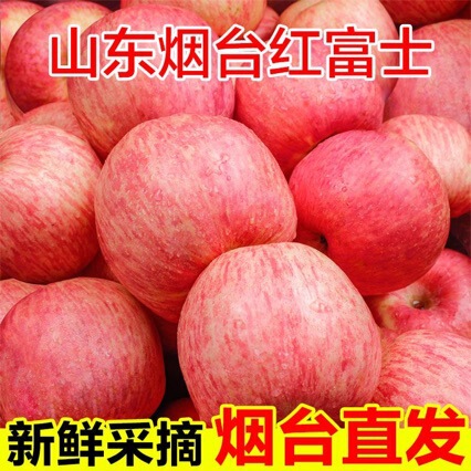 Authentic Yantai Qixia Red Fuji Apples, Crisp, Sweet and Juicy Fresh Apples, Seasonal Fruits, Whole Box Free Shipping Wholesale Authentic Yantai Qixia Red Fuji Apples, Crisp, Sweet and Juicy Fresh Apples, Seasonal Fruits, Whole Box Free Shipping Wholesale