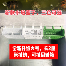 装饰配件水草杯水鱼缸篮鱼缸造景上挺篮水培植物固定架定植壁挂式