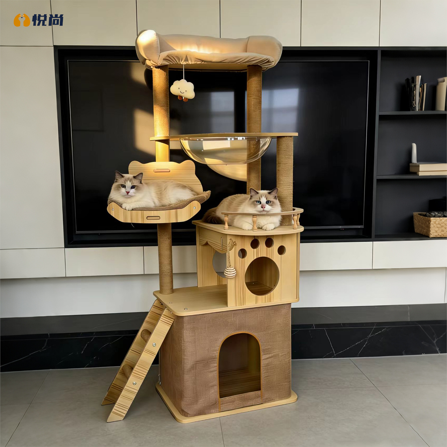 Кошачий комплекс Y39 новинка