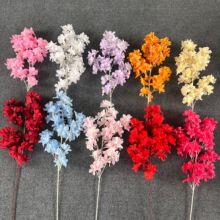 �ٻ��u�����ѻ��hѩ���滨����c��Y�����b��·���廨ˇ�b�