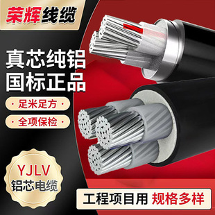 ���˼��~��|��YJLV 2 3 4 5о10 16 25 35ƽ�� �����ľ���|��