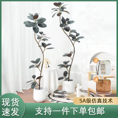 黒金剛のゴムの木は緑を植えてハイエンドの軽い豪華な客間の置物の大型の着地する緑の葉のバイオニックの偽の植物を植えます。