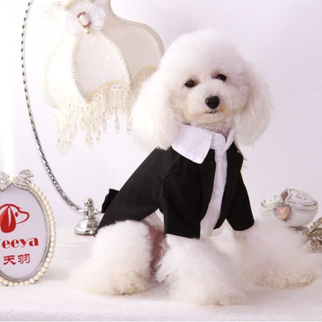 Primavera y verano gato falso de dos piezas esmoquin para perros Teddy Bichon Pomeranian ropa para perros traje para mascotas vestido suministros para gatos