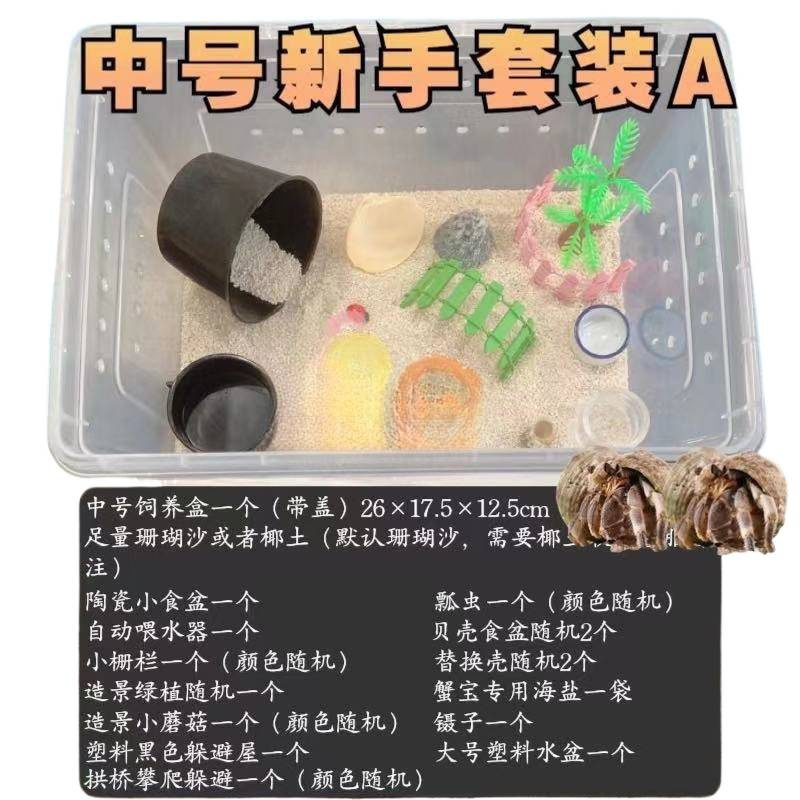 寄居蟹专用饲养爬宠饲养盒昆虫观察盒新手套装饲养缸寄居蟹套餐|undefined