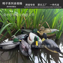 �羳����������Ӕ[������@��ͥԺ���Ϲ�ˇƷ���B�������B����