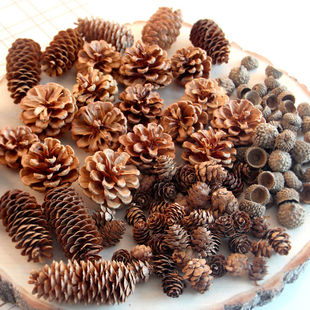 �ɹ��b�Ʒ�[������Ұ��DIY�ֹ����ϸɻ��h���׃��@ɭ�ָɘ�֦��
