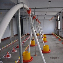 养殖鸡场自动喂料机鹅绞龙全套送料器自动升降水线鸭棚投料麦太保