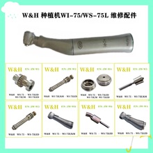 ��ֲ��20:1ά���������W&H WH WS-75LED//WI-75E��о��������