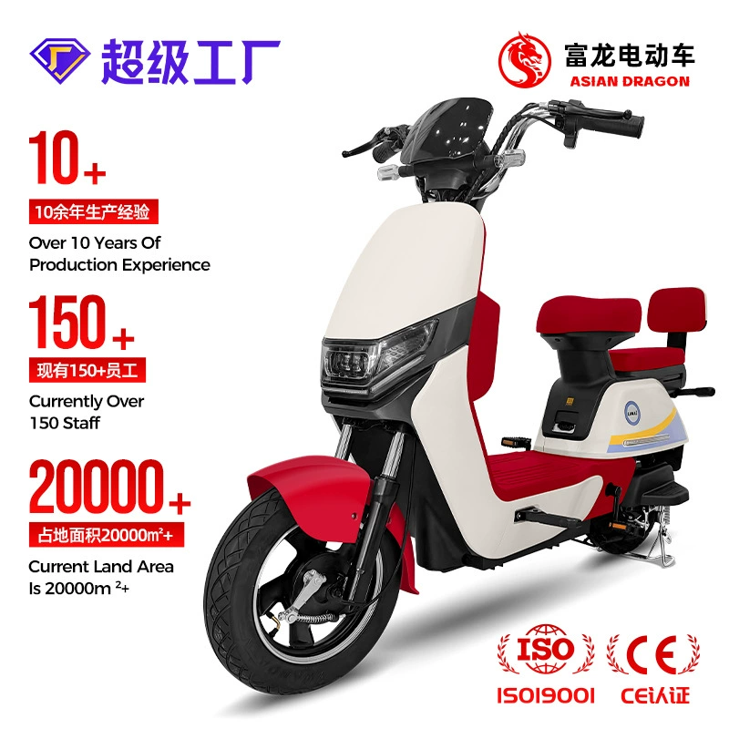 Производитель электромобилей Xingmai, двухколесный электрический велосипед, трансграничный завод-производитель аккумуляторных автомобилей ASIAN DRAGON