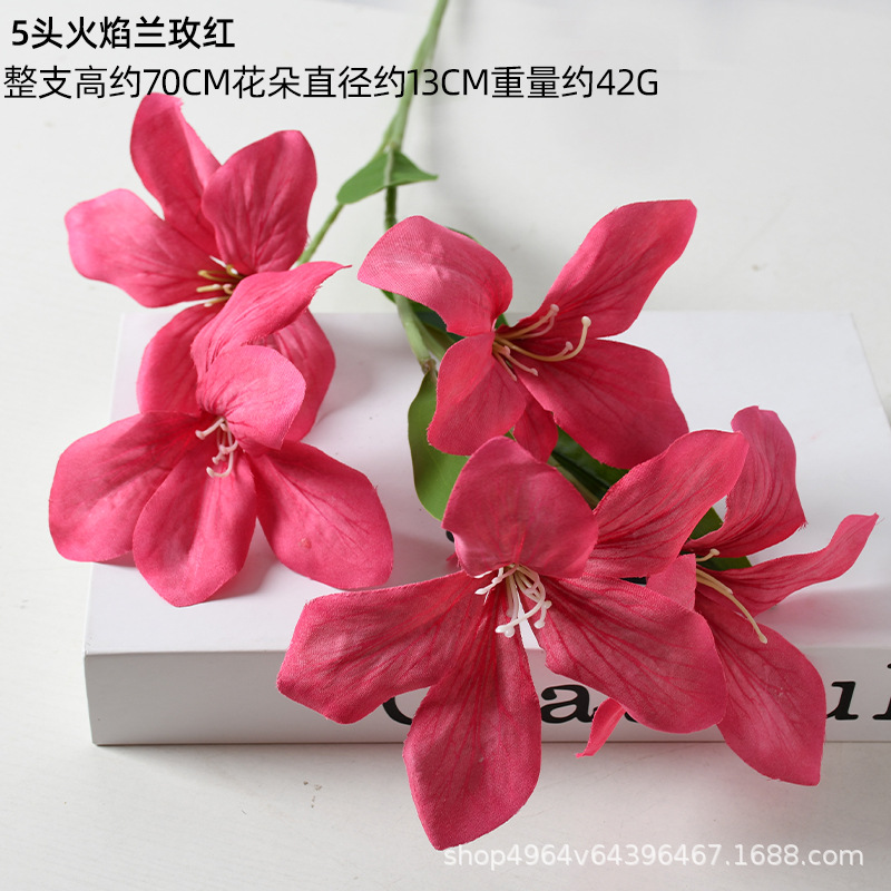 5 헤드 플레임 오키드 로즈 레드