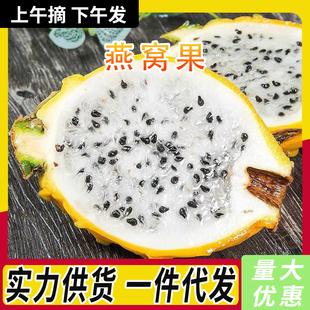 ��S���]������C����������r�ش�������r���Ꭷˮ������Y���b