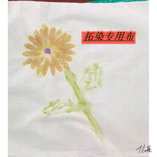 �{����ϰ�Ӱӡ�{Ⱦֲ����ӡ�հ��·��׃��@�������g���b��