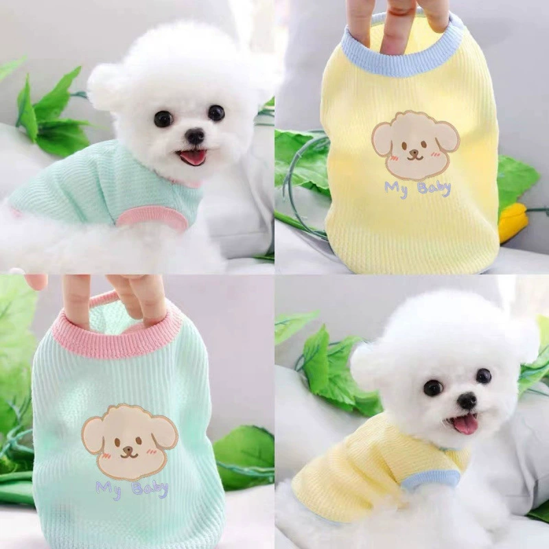 Собака, кошка, одежда осенью и летом