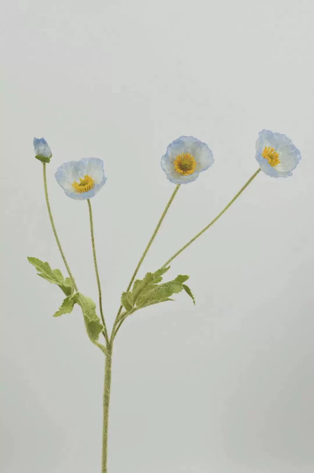 Model decorative simulation fake flower planting Mao Yumei living room simulation planting hair 4 -headed poppy flowers