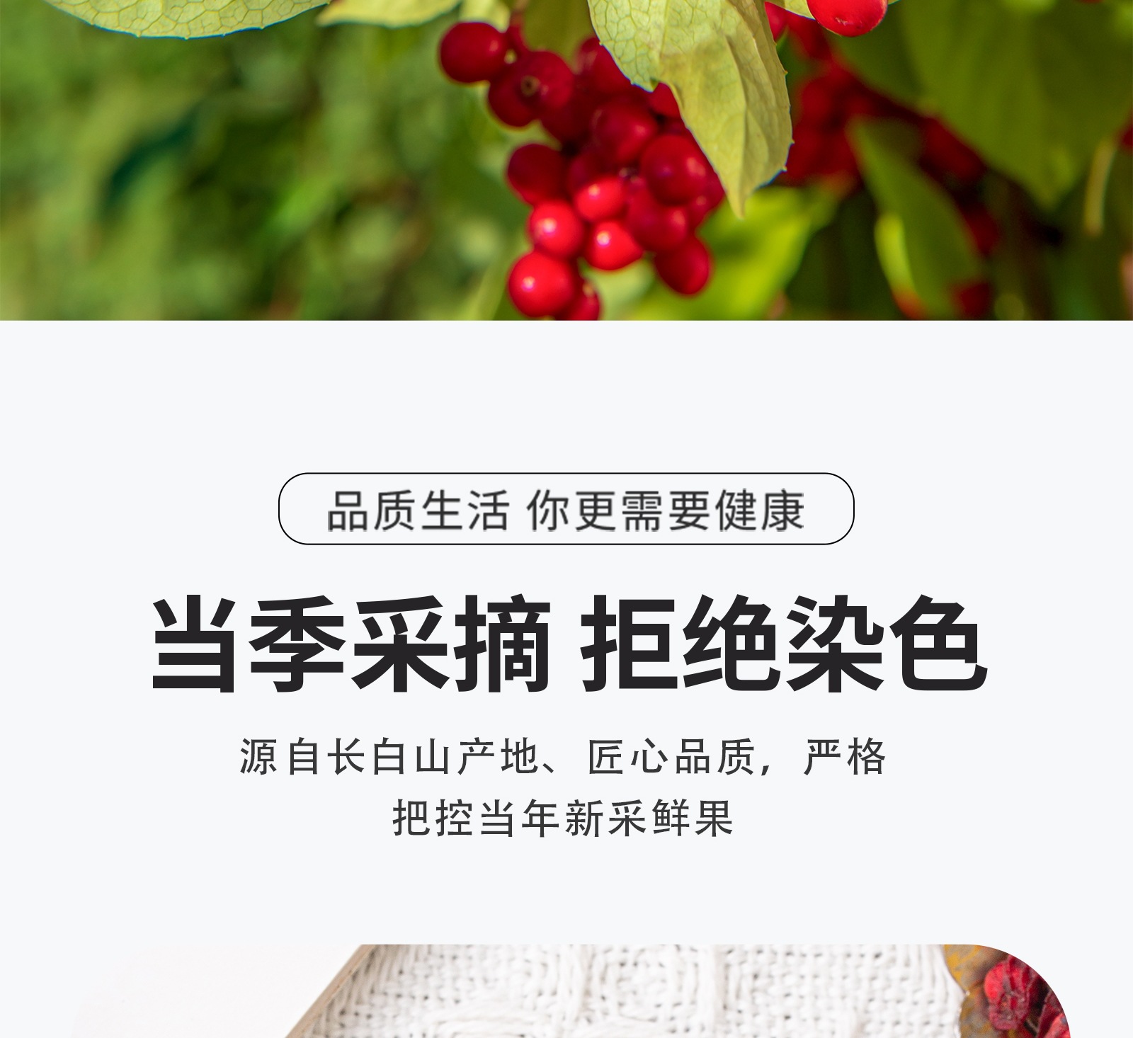 Premium Changbai Mountain Schisandra Berries Wu Wei Zi Dried Whole Fruit 500g overview