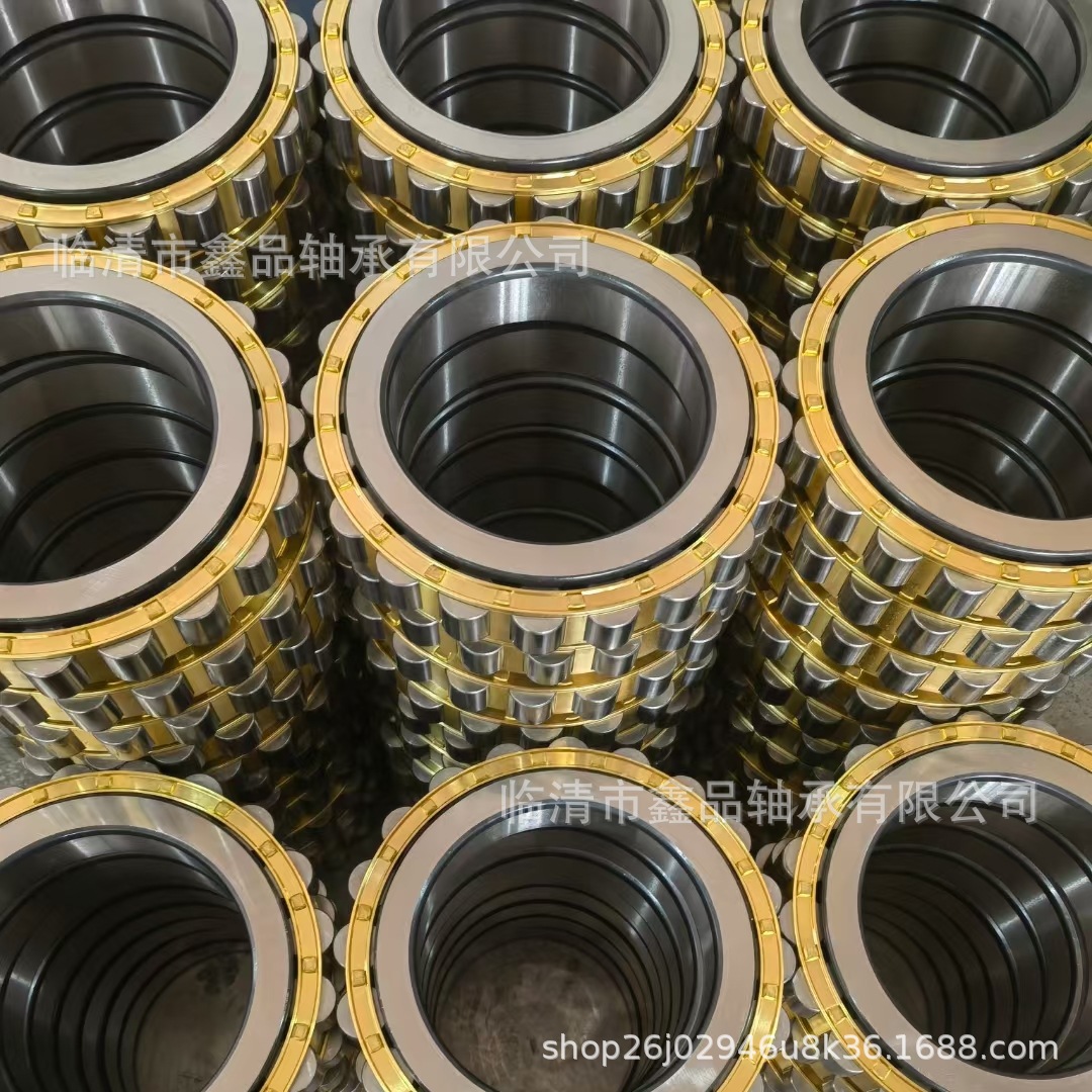 减速机轴承 RN205 310 312  222 228M 偏心轴承