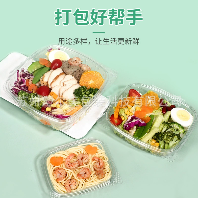 Foreign trade special disposable salad box PET plastic one-piece square packing box fruit box cold lunch box vegetable box