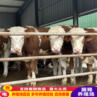 ��������u���T����ţţ��  �����Sţ�Bֳ ���T����Сţ�����l