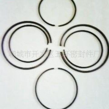 供应合金铸铁液力传动密封环(图)