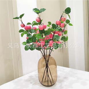 �ߙn���LС�O��֦�߼��з����֦�ҾӾƵ��b��滨�ٻ���ˇ�[��