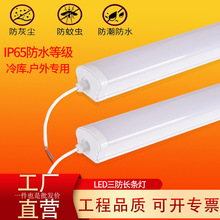 工厂批发led三防灯防水防潮防虫尘车间冷库灯管户外一体化净化灯
