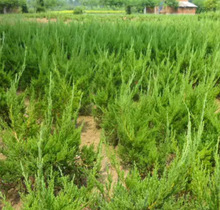 һlؘСu؂Ȱرصذ،ɘ