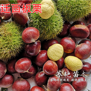 ������ �w�������� �޽Ӱ������義�|�������Ϸ������Nֲ����Y��