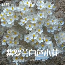 紫罗兰干花新款花芬花艺手工diy材料包花束跨境亚马逊婚庆装饰品