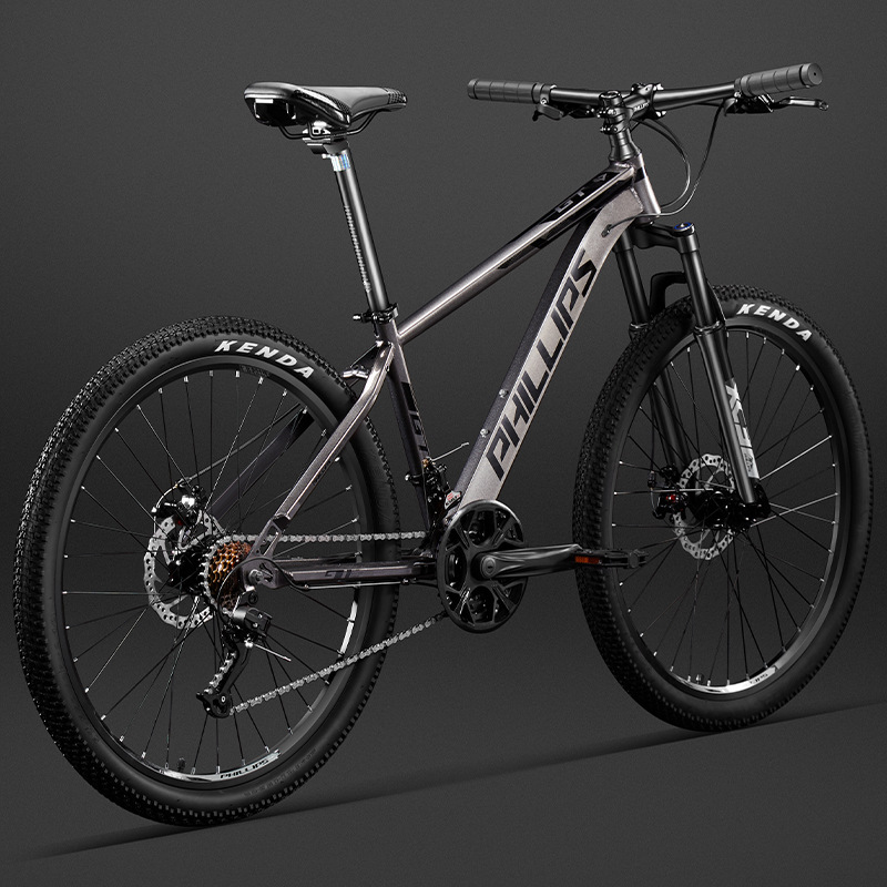 Philip Mountain Bike Bicycle Adult Bicycle Men's and Women's Variable Speed Youth Off-Road Work Transportation Students