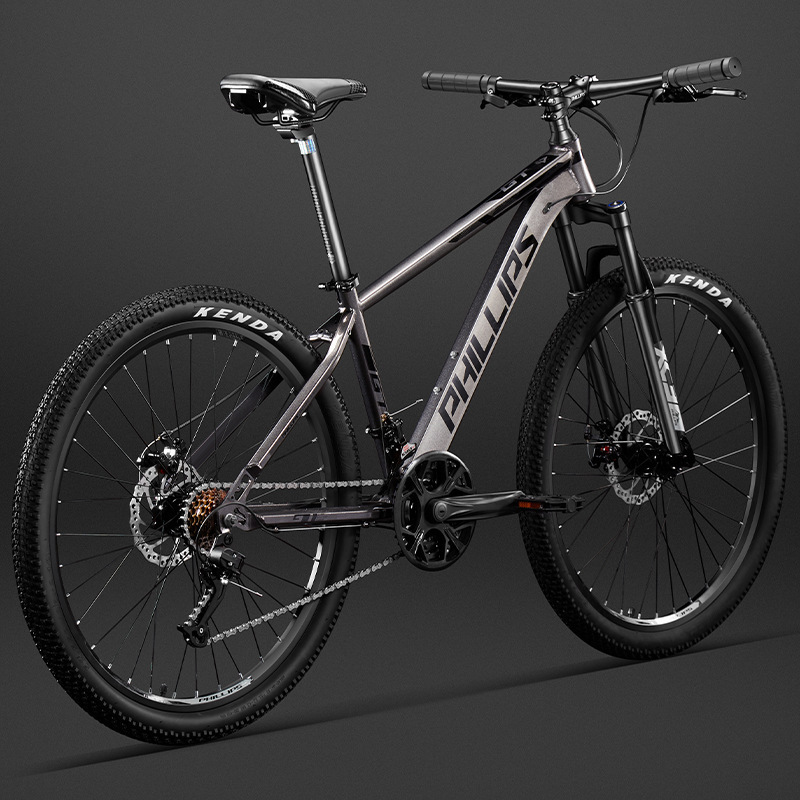 Philip Mountain Bike Bicycle Adult Bicycle Men's and Women's Variable Speed Youth Off-Road Work Transportation Students