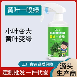 栽培基质;营养液;有机肥