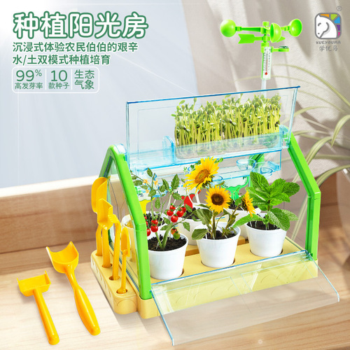 Planting DIY vegetable and flower observation science experiment set for kindergarteners, vegetable planting pot for 6-year-olds