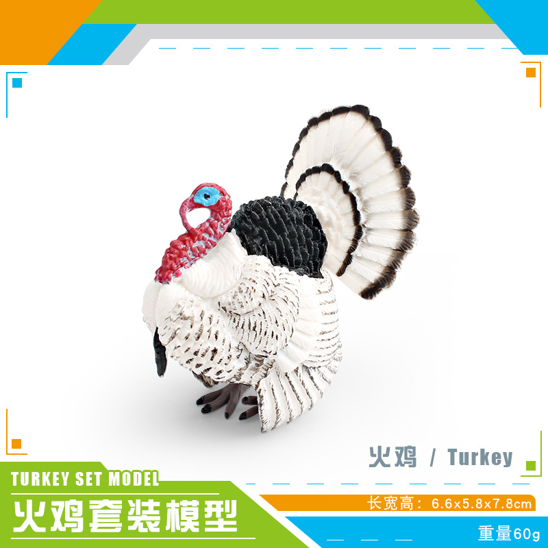 PL127-3354 Thổ Nhĩ Kỳ 60g