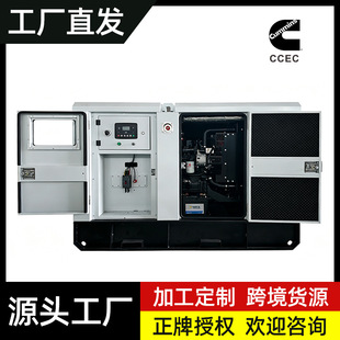 �羳����˹���Ͱl늙C�M�o�����I���Ͱl늙C����1000KW