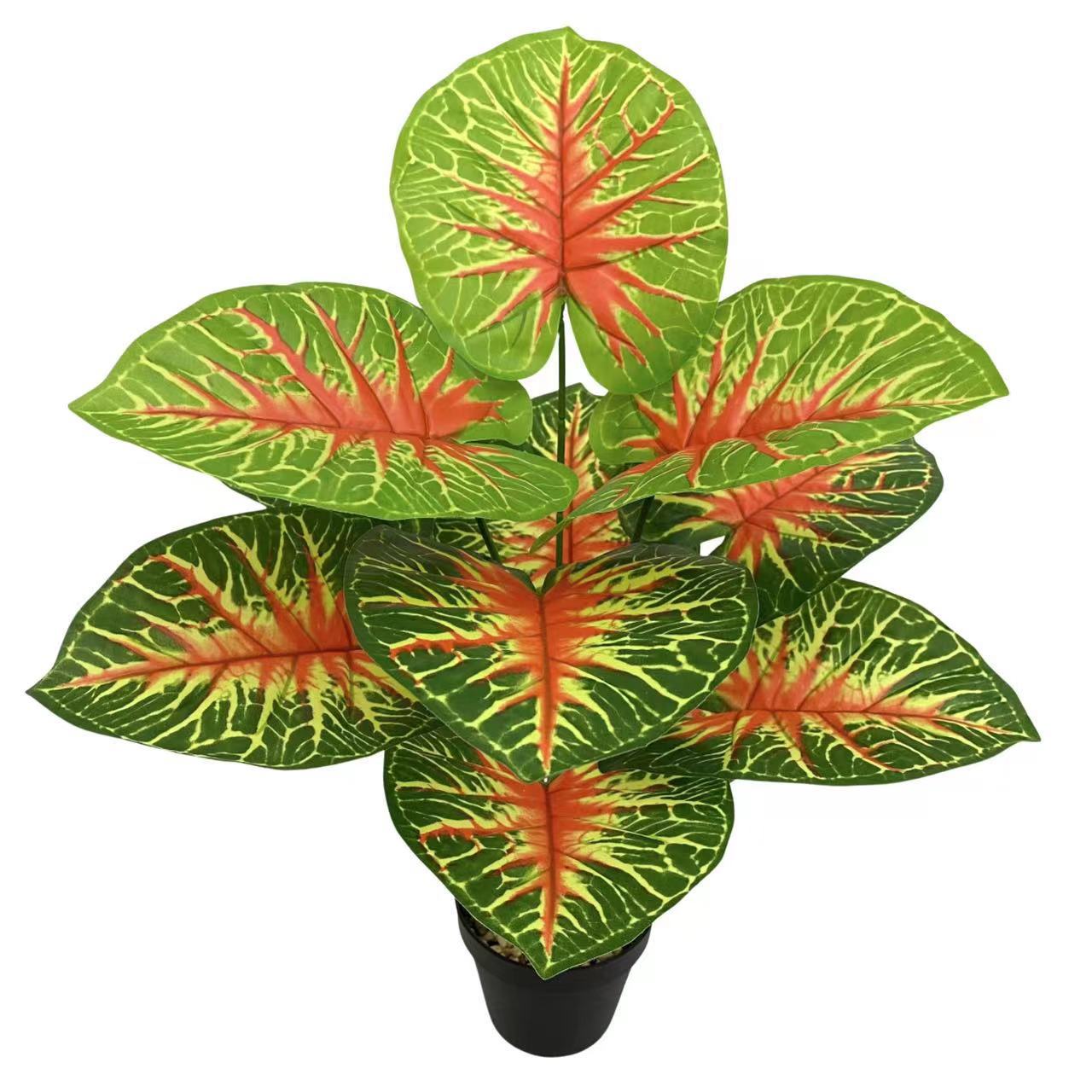 微信图片_20230222152130